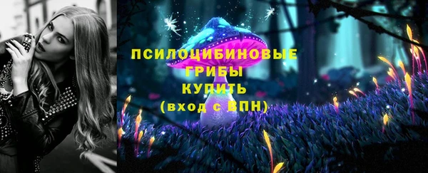 мдпв Верхний Тагил