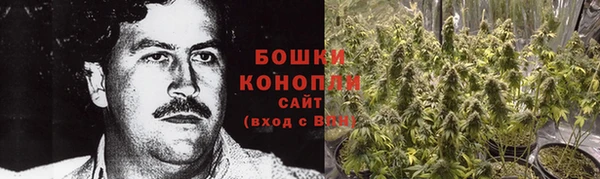 мдпв Верхний Тагил